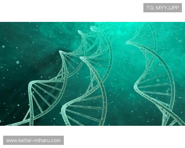 菲律宾欧博总代理地址最新更新及实用查询技巧详解